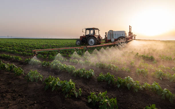 Reliable Rosharon, TX Pest Control Solutions