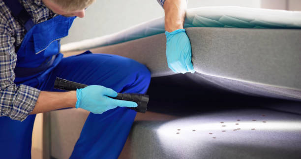 Best Pest Removal Services  in Rosharon, TX