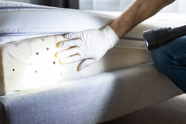 Best Pest Control Near Me  in Rosharon, TX