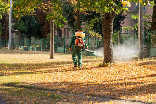 Best Residential Pest Control  in Rosharon, TX