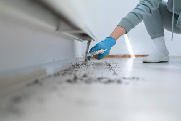 Best Cockroach Control Services  in Rosharon, TX
